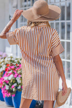 Brown Stripe Pinched V Neck Turn-up Cuffs Shift Mini Dress