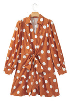 Brown Polka Dot Long Sleeve Tie Waist Casual Shift Mini Dress