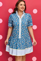 Blue Plus Size Floral Print Striped Patchwork Detail Button Front Ruffle Hem Dress