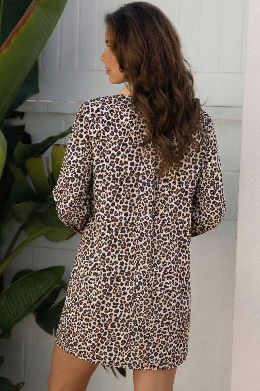 Multicolour Button Striped Collar Leopard Print Long Sleeve Flared Dress
