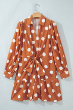 Brown Polka Dot Long Sleeve Tie Waist Casual Shift Mini Dress